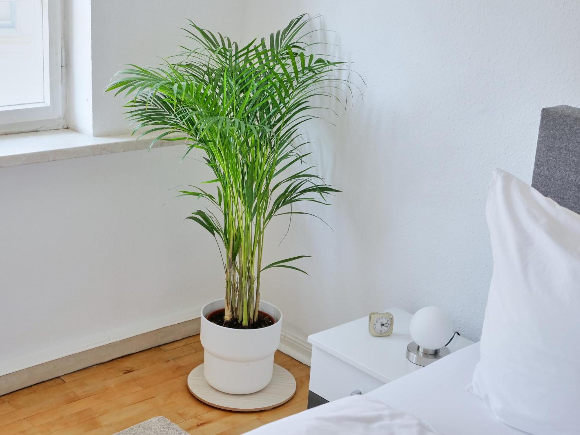 Appartement Dom III - Erfurt Domplatz Kültér fotó